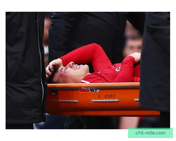米利唐比赛中意外受重伤被担架抬离赛场令人担忧
